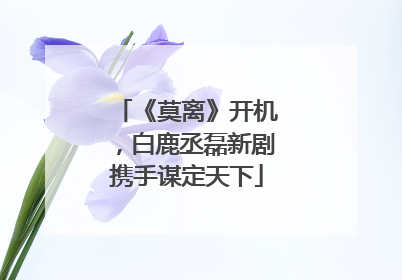 《莫离》开机，白鹿丞磊新剧携手谋定天下