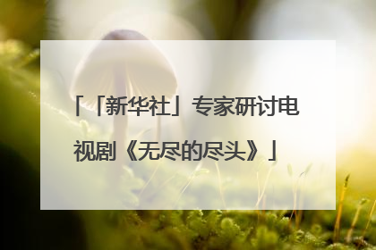 「新华社」专家研讨电视剧《无尽的尽头》
