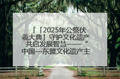 「2025年公祭伏羲大典」守护文化遗产 共启发展智慧——“中国—东盟文化遗产主题对话”侧记