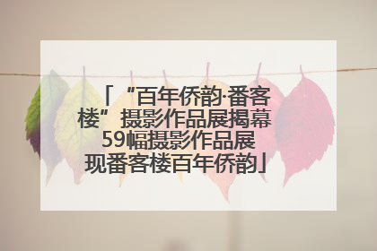 “百年侨韵·番客楼”摄影作品展揭幕 59幅摄影作品展现番客楼百年侨韵
