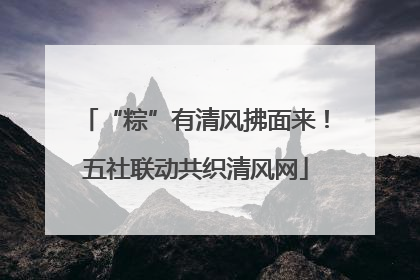 “粽”有清风拂面来！五社联动共织清风网