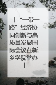 “一带一路”经济协同创新与高质量发展国际会议在新乡学院举办