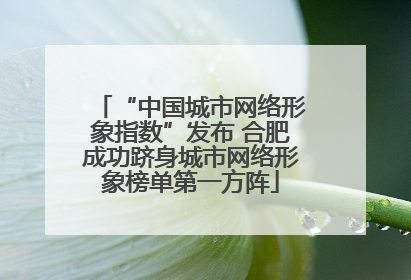 “中国城市网络形象指数”发布 合肥成功跻身城市网络形象榜单第一方阵