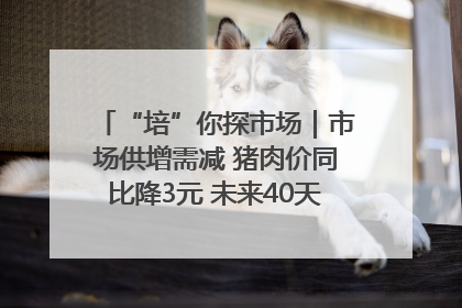 “培”你探市场｜市场供增需减 猪肉价同比降3元 未来40天便宜猪肉敞开吃