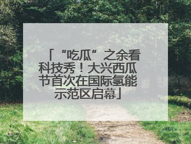 “吃瓜”之余看科技秀！大兴西瓜节首次在国际氢能示范区启幕