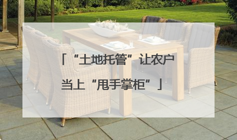“土地托管”让农户当上“甩手掌柜”