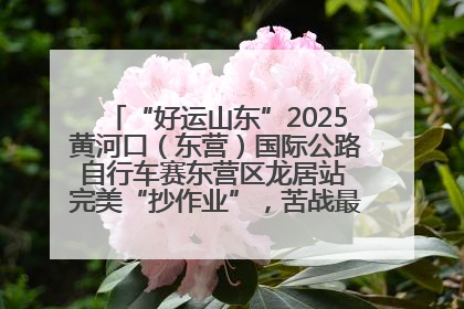 “好运山东”2025黄河口（东营）国际公路自行车赛东营区龙居站 完美“抄作业”，苦战最后时刻黄衫易主