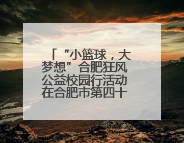 “小篮球，大梦想”合肥狂风公益校园行活动在合肥市第四十二中学南城分校圆满落幕