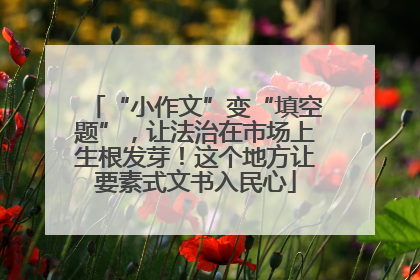 “小作文”变“填空题”，让法治在市场上生根发芽！这个地方让要素式文书入民心