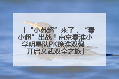 “小苏超”来了，“秦小超”出战！南京秦淮小学明星队PK徐淮双强，开启文武双全之旅