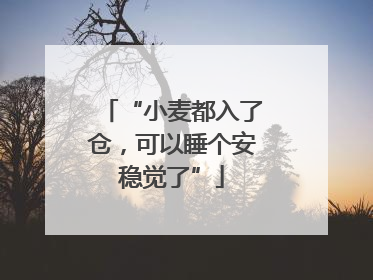 “小麦都入了仓，可以睡个安稳觉了”
