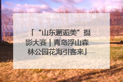 “山东邂逅美”摄影大赛｜青岛浮山森林公园花海引客来