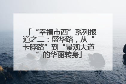 “幸福市西”系列报道之二：盛华路，从“卡脖路”到“景观大道”的华丽转身