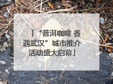 “普洱咖啡 香遇武汉”城市推介活动盛大启幕