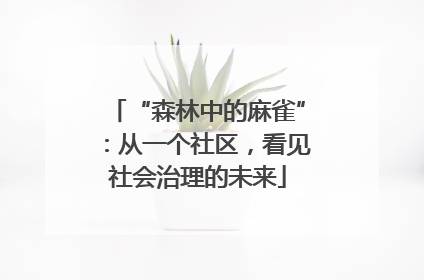 “森林中的麻雀”：从一个社区，看见社会治理的未来