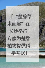 “楚辞草木画展”在长沙举行 专家为楚辞植物提供科学考据