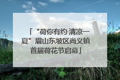“荷你有约·清凉一夏”眉山东坡区尚义镇首届荷花节启幕