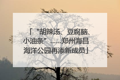“胡辣汤、豆腐脑、小油条”……郑州海昌海洋公园再添新成员