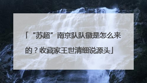 “苏超”南京队队徽是怎么来的？收藏家王世清细说源头
