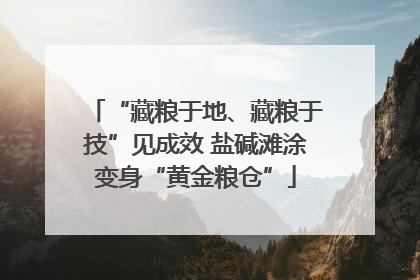 “藏粮于地、藏粮于技”见成效 盐碱滩涂变身“黄金粮仓”