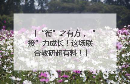 “衔”之有方，“接”力成长！这场联合教研超有料！