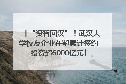 “资智回汉”！武汉大学校友企业在鄂累计签约投资超6000亿元