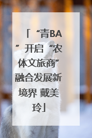 “青BA”开启“农体文旅商”融合发展新境界 戴美玲