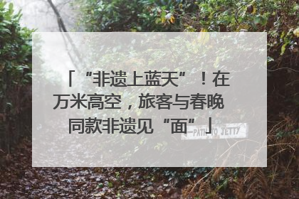 “非遗上蓝天”！在万米高空，旅客与春晚同款非遗见“面”