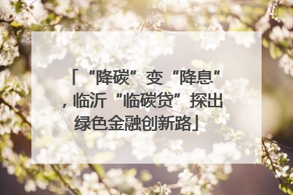 “降碳”变“降息”，临沂“临碳贷”探出绿色金融创新路