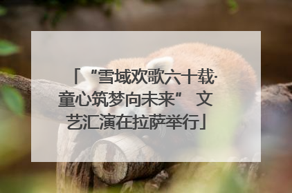 “雪域欢歌六十载·童心筑梦向未来” 文艺汇演在拉萨举行