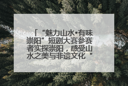 “魅力山水•有味崇阳”短剧大赛参赛者实探崇阳，感受山水之美与非遗文化“提琴戏”魅力