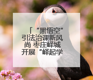 “黑悟空”引法治课新风尚 枣庄峄城开展“峄起学习·政策法规宣讲面对面”活动