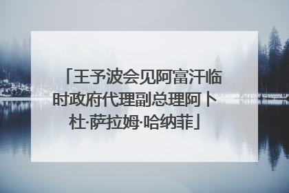 王予波会见阿富汗临时政府代理副总理阿卜杜·萨拉姆·哈纳菲