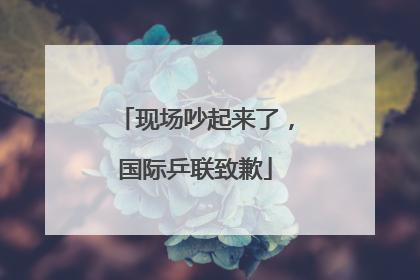 现场吵起来了，国际乒联致歉