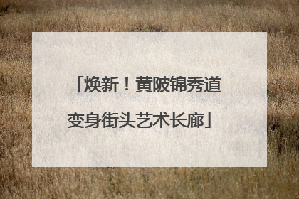 焕新！黄陂锦秀道变身街头艺术长廊