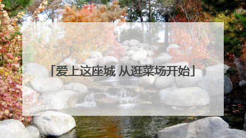 爱上这座城 从逛菜场开始