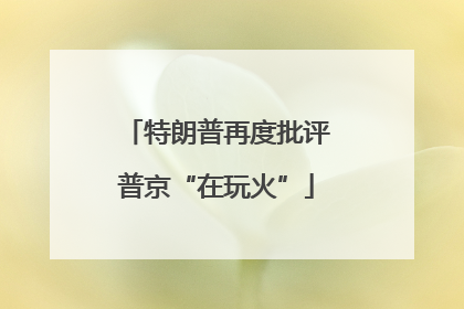特朗普再度批评普京“在玩火”