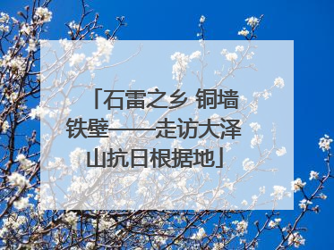 石雷之乡 铜墙铁壁——走访大泽山抗日根据地