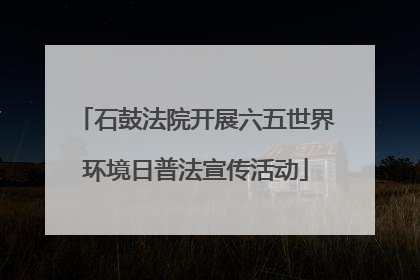 石鼓法院开展六五世界环境日普法宣传活动