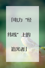 电力“经纬线”上的追光者