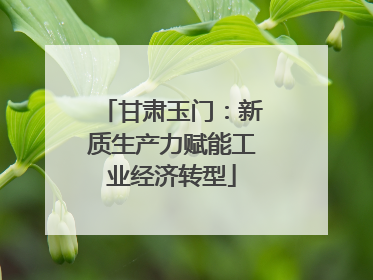甘肃玉门：新质生产力赋能工业经济转型