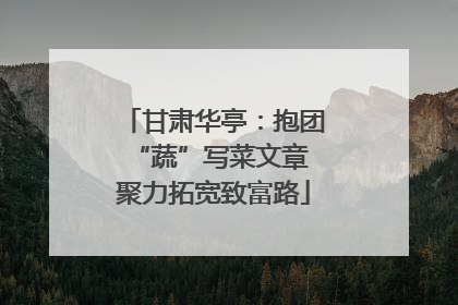 甘肃华亭：抱团“蔬”写菜文章 聚力拓宽致富路