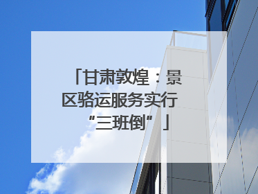 甘肃敦煌：景区骆运服务实行“三班倒”