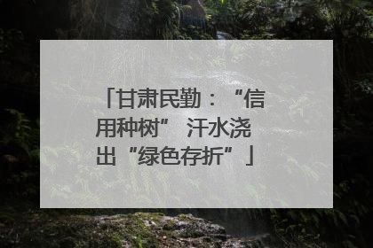 甘肃民勤：“信用种树” 汗水浇出“绿色存折”