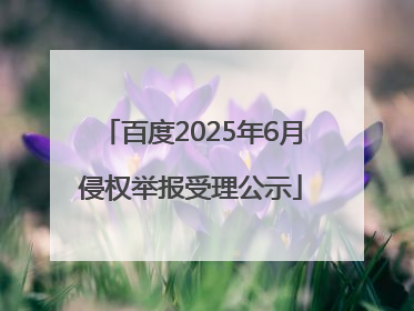 百度2025年6月侵权举报受理公示