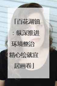 百花湖镇：纵深推进环境整治 精心绘就宜居画卷