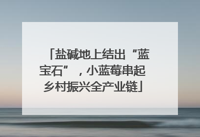 盐碱地上结出“蓝宝石”，小蓝莓串起乡村振兴全产业链
