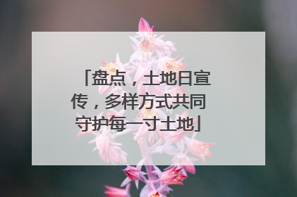 盘点，土地日宣传，多样方式共同守护每一寸土地