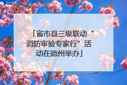 省市县三级联动“消防审验专家行”活动在德州举办