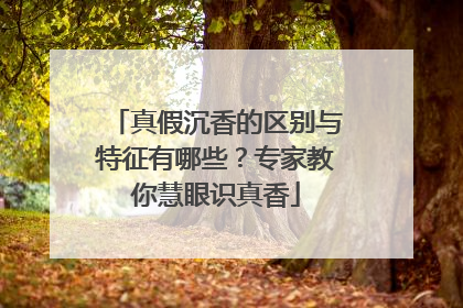 真假沉香的区别与特征有哪些？专家教你慧眼识真香